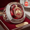 PREMIUM DST RING PDL