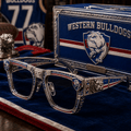 PREMIUM WTB UNISEX SUNGLASSES HQH