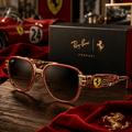 PREMIUM FRR UNISEX SUNGLASSES PDL